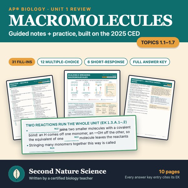 Cover: AP Biology Unit 1 macromolecules review